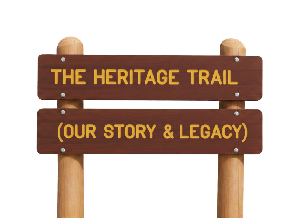 Pack 1965 Our Story and Impact - About our local Scouting history since 2017.