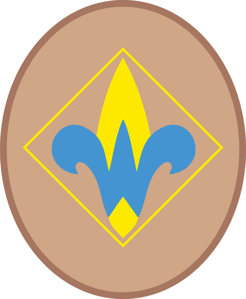 Pack 1965 Webelos Rank - Fourth grade transition toward leadership and advanced skills.